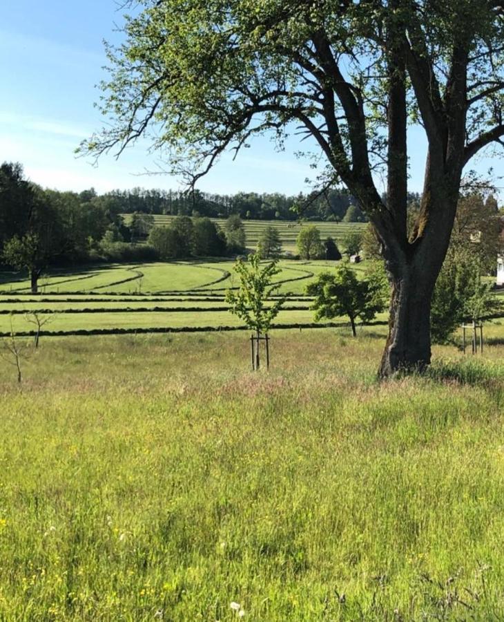 Ferienwohnung "Hinterland" Hergensweiler Bagian luar foto