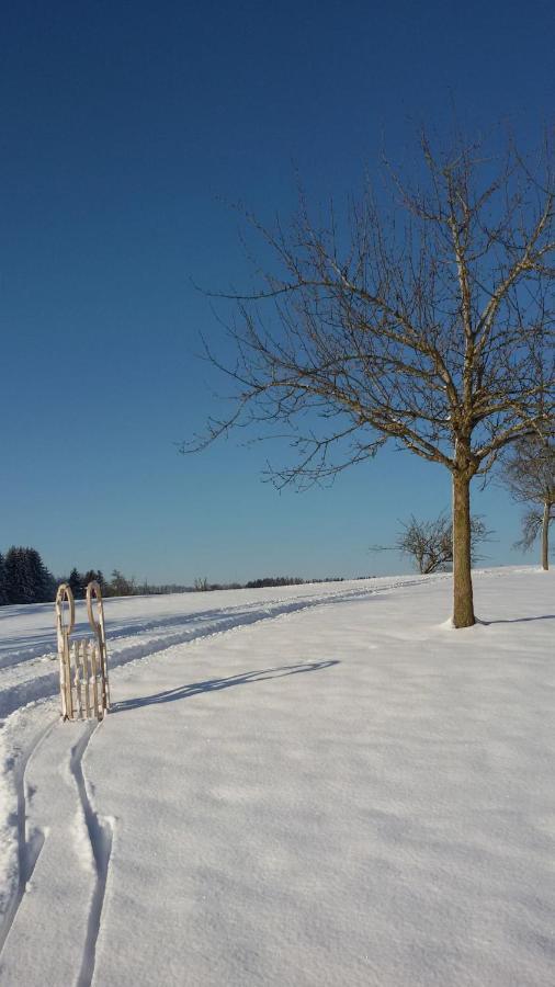 Ferienwohnung "Hinterland" Hergensweiler Bagian luar foto